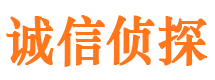 大新侦探